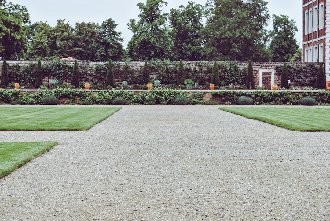 Free Wedding Venues: Budget-Friendly Locations for Hosting Your Dream Ceremony